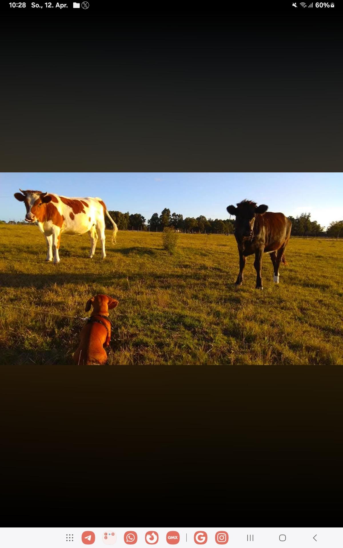Was heißt eigentlich "tranquilo "